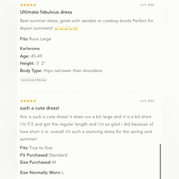 NWT XL - Anthropologie 100% Cotton Embroidered Swing Shirt Dress - Picture 2 of 16